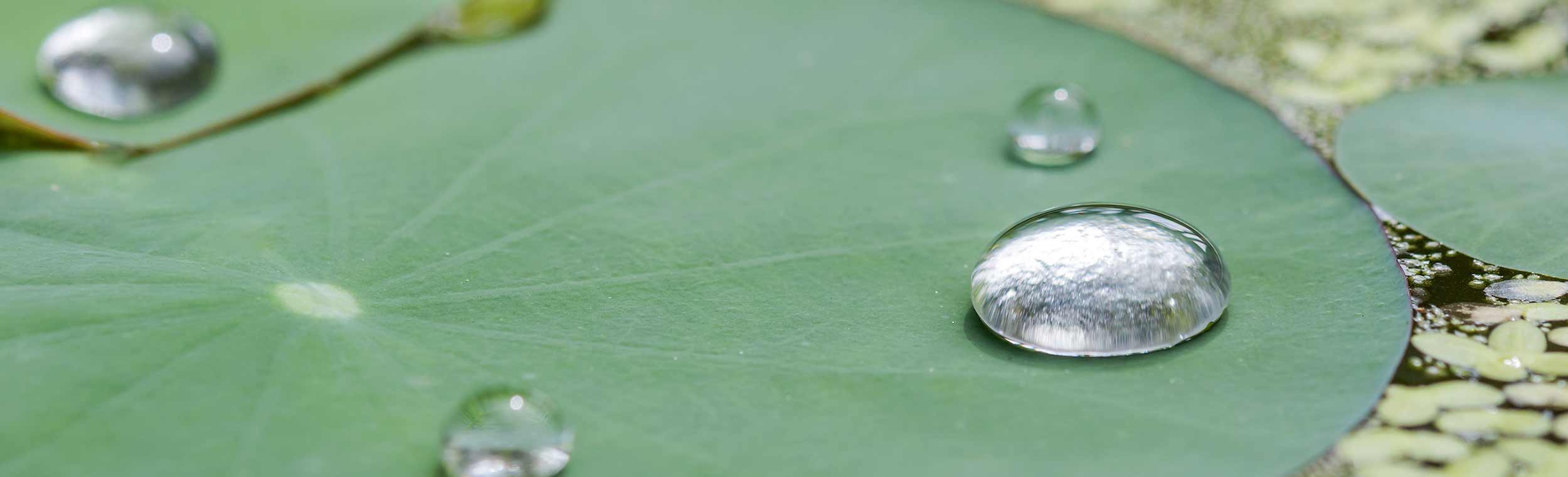 UNIGLAS® | NANO – Leichtpflegeglas